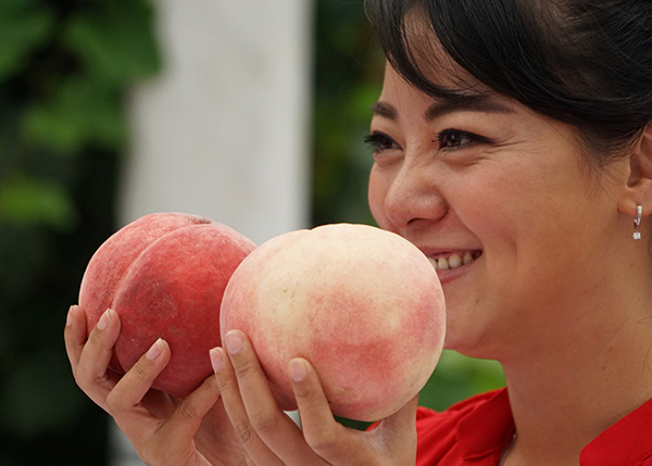 8月18日,市民在平谷区甜桃王擂台赛上拿着大桃拍照。