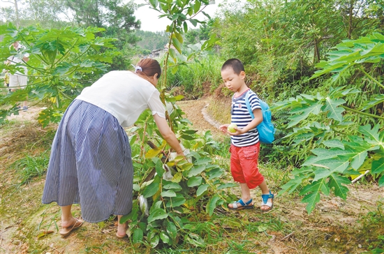 㶫ƽũΡ󴬡 ڶο顰ժΡ