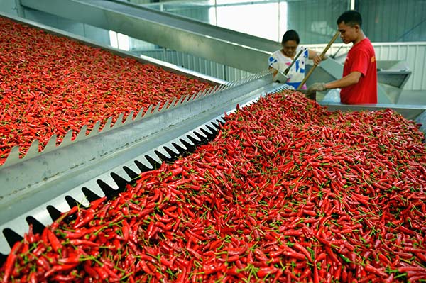 819գںʡһ̬ũҵ˾ĳ˽濾ߡ