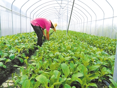 㶫麣׼л߲˻֤ͨ һ߲ٶ