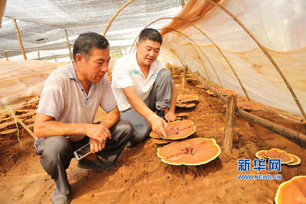 824գ򶫱ֲ֥԰Сң򵱵ǰιѧϰȺڽ֥