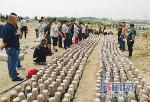 ɽٳׯٰ쾫׼ƶʳþѵ