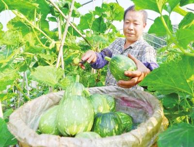 ＾߲ ḻĴ㰲񡰲ӡ