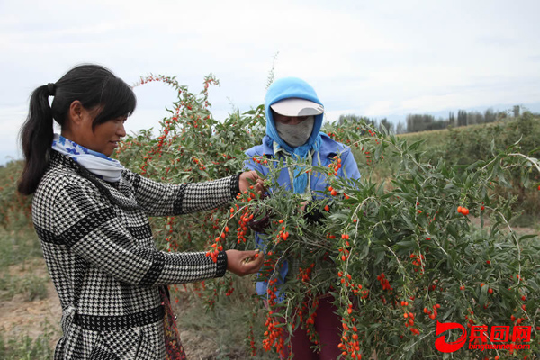 823գʦ̨ũذְְһժյ轡