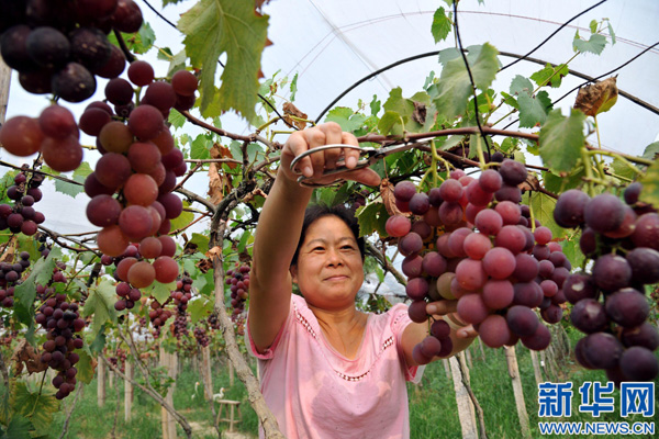 826գضͿȪл߲˻صĹũڲժѡ