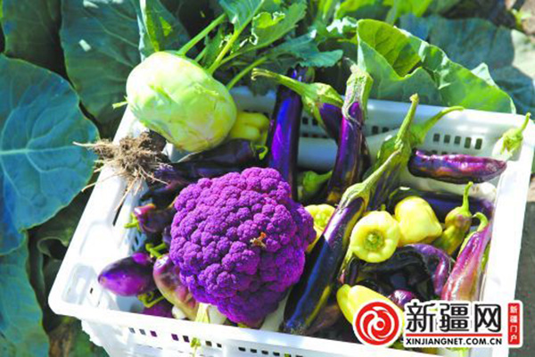 ũƹʵֲɫ߲ˣͼƬпƼũ崦ṩ