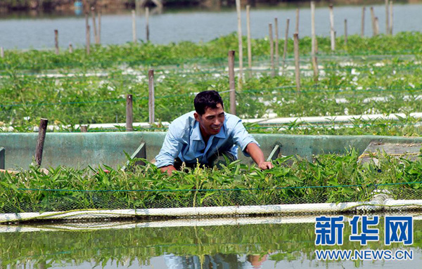 8��30�գ��¸���������������רҵ������Ƹ��Ĺ���Ա���������޶��������������ϲ�ժ���Ĳˡ�