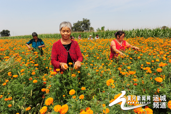 829գϲخ|ϹŴϲũֲרҵԱڲժپա
