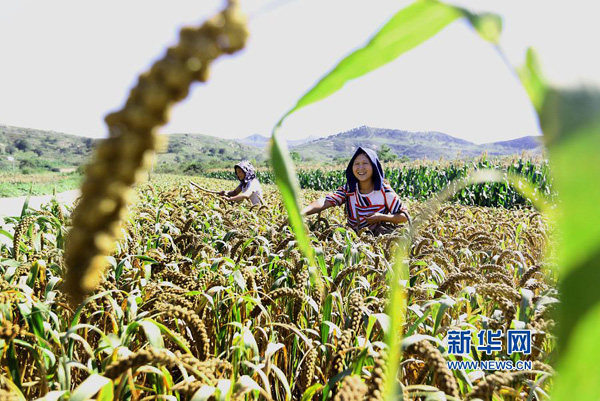 830գʡжҦҦκСרҵԱƽͬԭջӡ