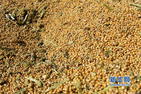 830գʡжҦ򣬸ոմ¹ӣɢ㡣