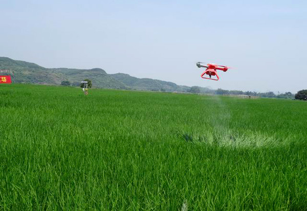 广西象州县:无人机助阵水稻病虫统防统治