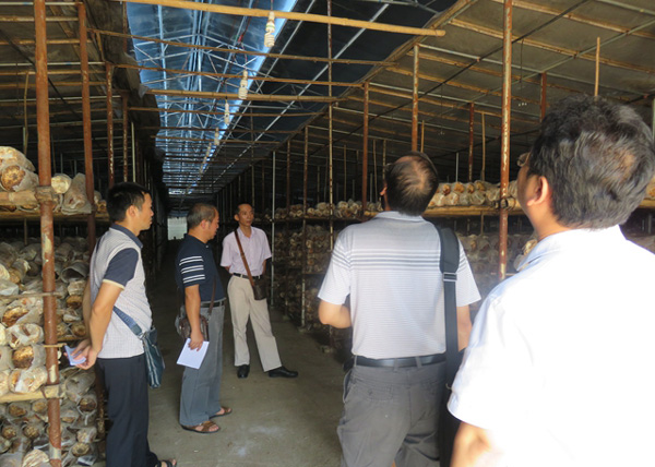 ӳũҵֵндʳƷȫʾ㽨蹤