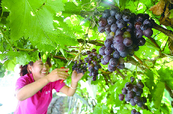 ɽƽȣõ㡱ջ 9Ѯӭд