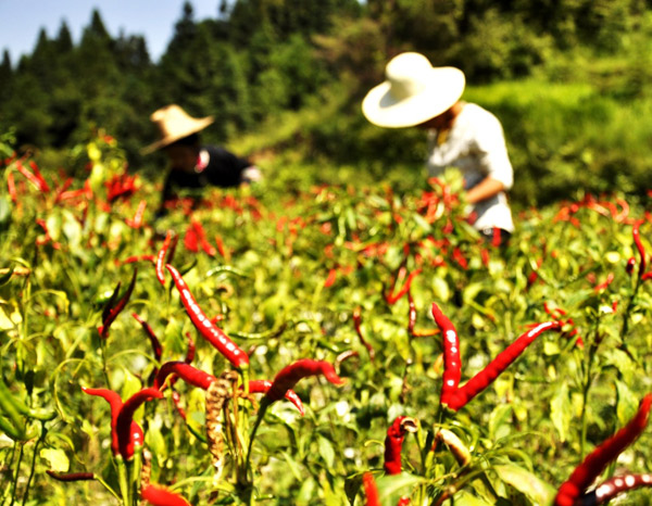 92գڹʡӽͣ峯콷ֲأضڲճ