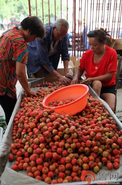 96գɽʡƽصطɽֲժɽ髡