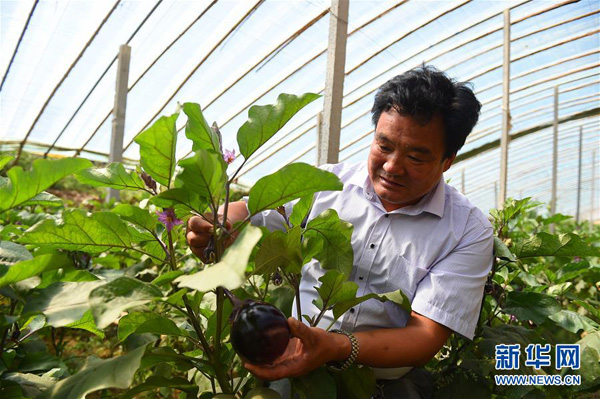 96գ׶аһũڴв鿴߲˳ơ