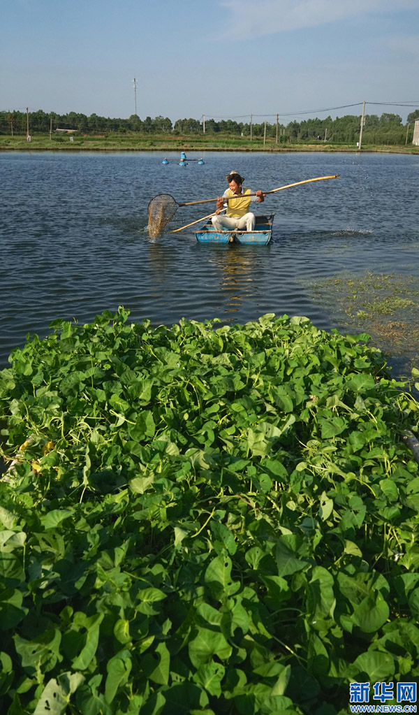 97գ¸ʽпĲ˵ĳﲶ㡣