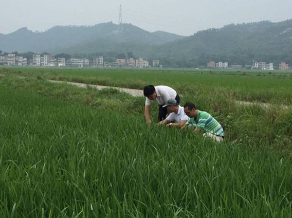 㶫ˮ溦רҵͳͳιȡóЧ