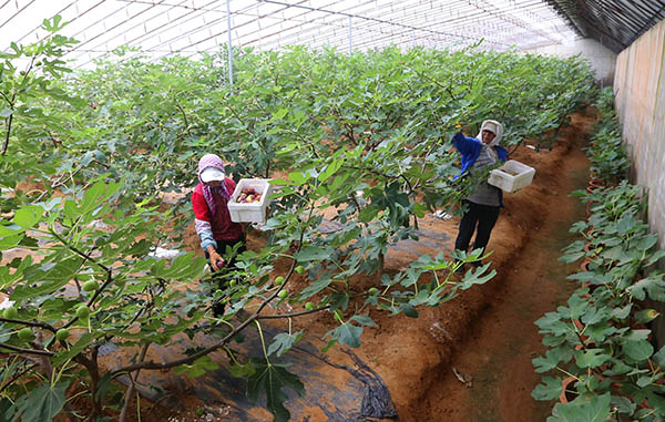 97գڴнκҽֵũڲժů޻