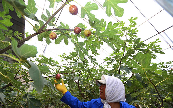 97գڴнκҽֵũڲժů޻