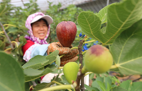 97գڴнκҽֵũڲժů޻