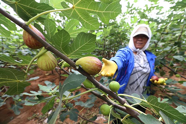 97գڴнκҽֵũڲժů޻