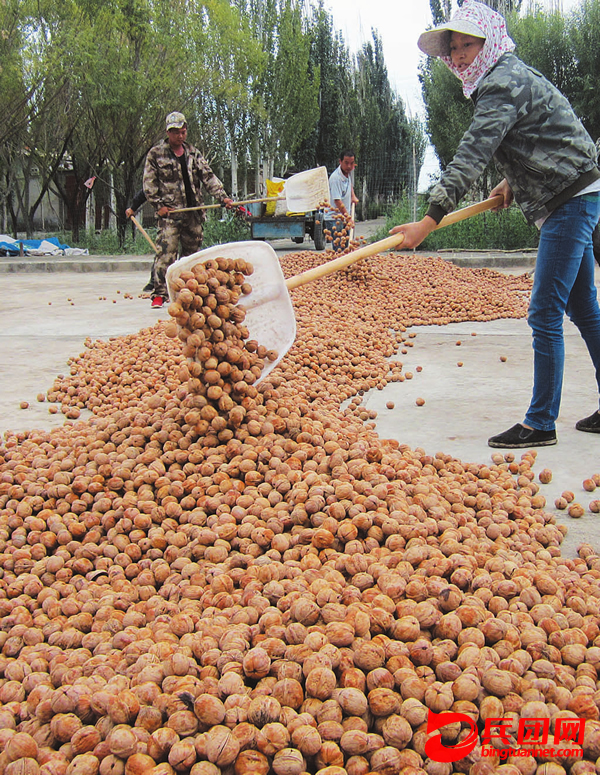 96գһʦſƼְɹҡ꣬źҵ280๫