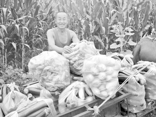 山西河曲:南园村大力发展蔬菜产业