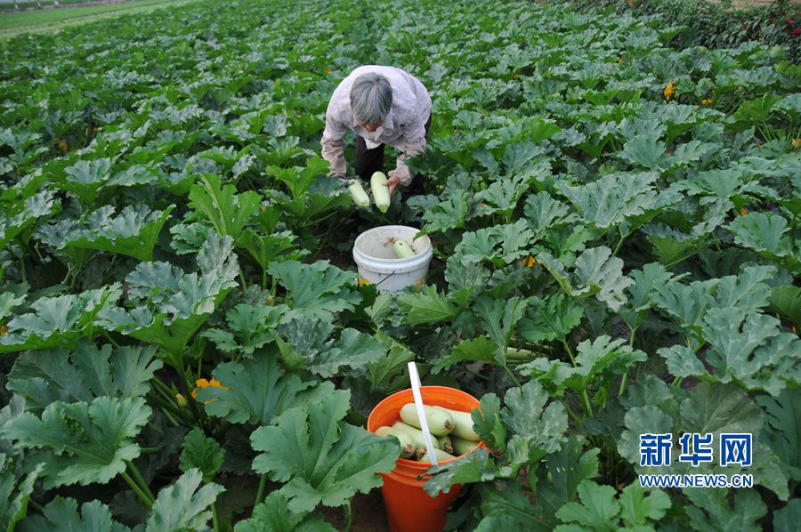 910գʡڻسǹũڲ߲ˡ