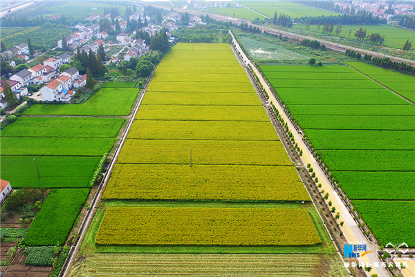 Ŀǰ1šڼͥũ󣬽ɽֲԼ3Ķ1018͡1038Ϊ㣬ڽ1011ڼ½죨99㣩