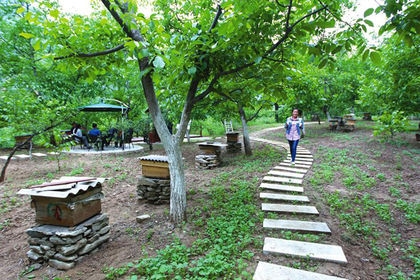 ̬δ̬ũҵ̬ҵ͵ҵںϷչ