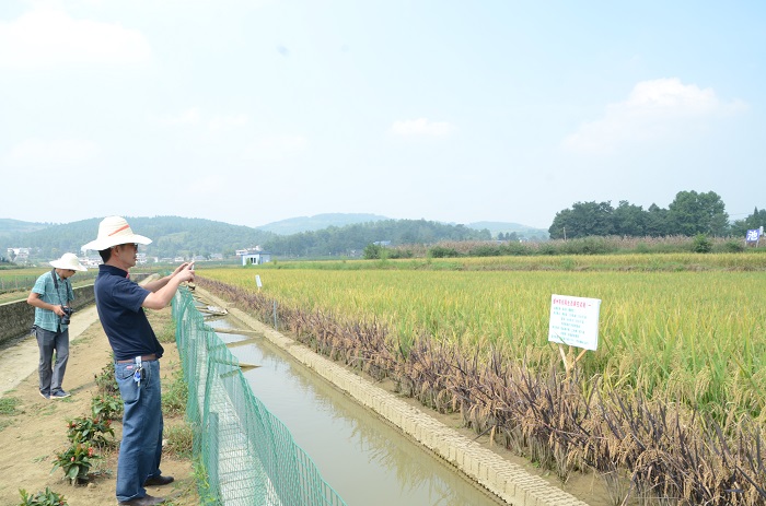 ʡũվרҵвָĿʵʩ