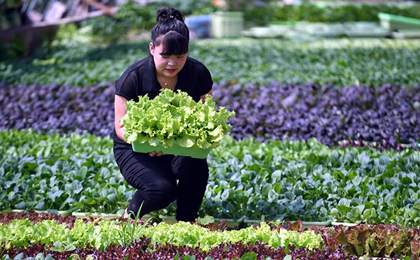 912գοںӱʡʢִũҵ԰ժ߲ˡ