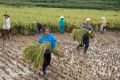 917գũڳ37ŰĶֳոˮ