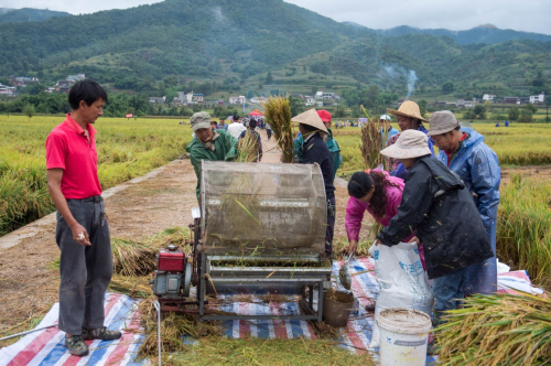 917գũڳ37ŰĶֳΪˮ