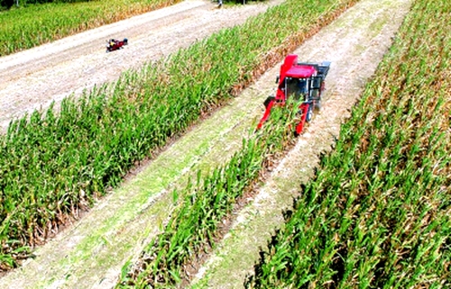 ФФũʻũջס40Ķϲգũץסӽջ