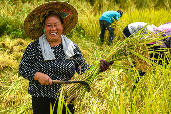 919գͰ᰹罼⣬شոˮ