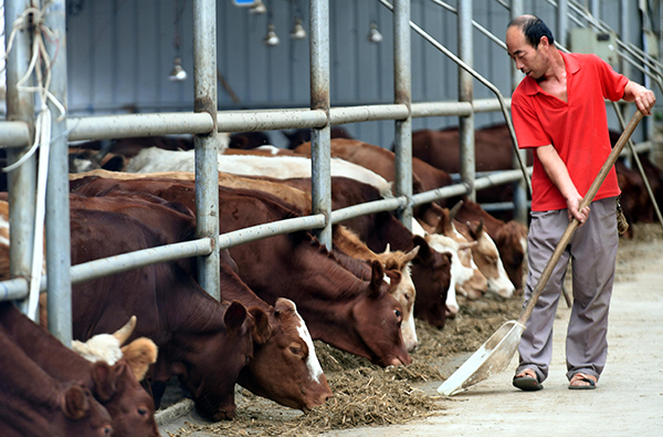 921գ繤˰ѽõýոѵȼӹιʳ