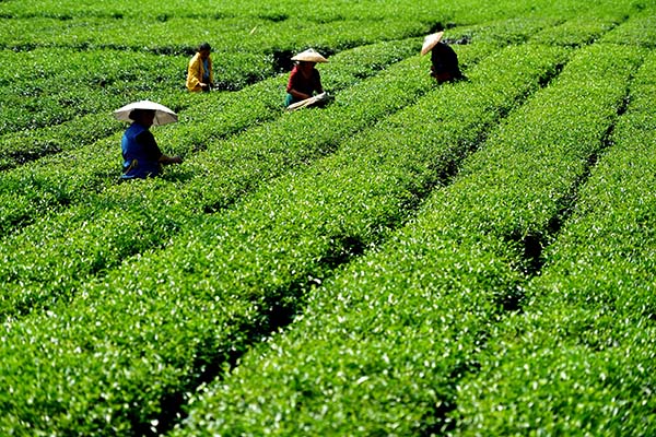 922գũںʡˮӴĲ԰衣