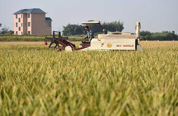 922գոԱȡһʾո