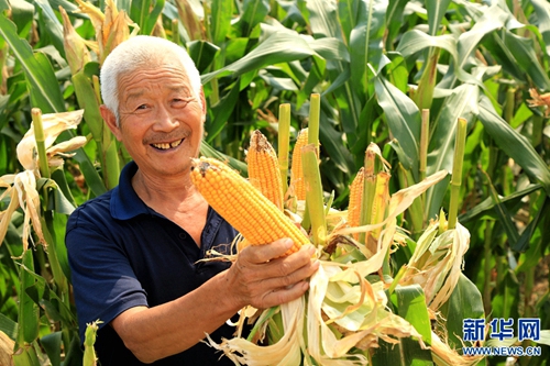 Ӫ׿Ƽʾųϲ˵˸˵غϲ£