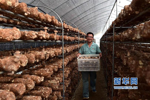 923գԱ㹽ҵƶʾ԰˸ղժ㹽