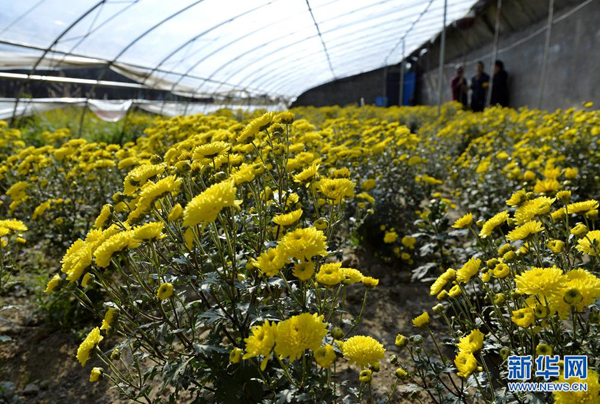 дִũҵҵ԰ڵĲþջƷ֣922㣩