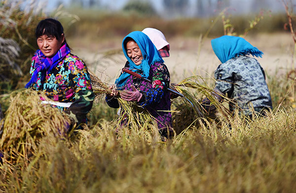 й֡峣нջ ˮũոæ