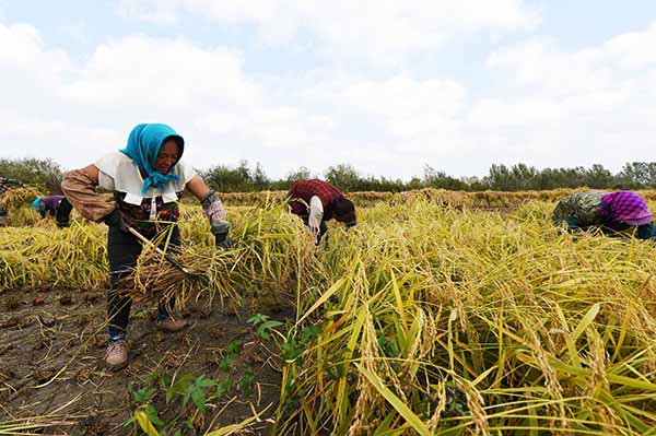 925գ峣ﵾлˮصֲոˮ