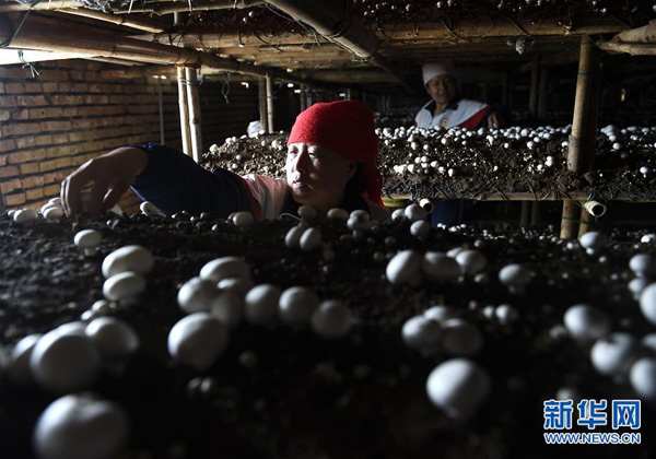 925գؾۺ´ĴӴ֦ڲժ˫߹