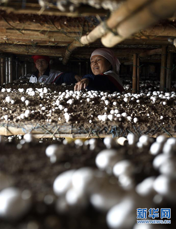 925գؾۺ´Ĵңڲժ˫߹