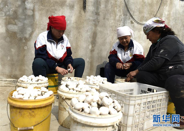 925գؾۺ´ĴУڷּղɻ˫߹