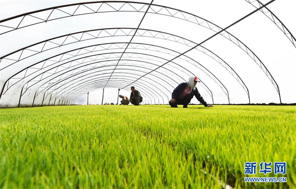 ںʡ峣ﵾлˮأֲˮе磨422㣩