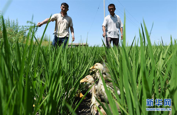 ﵾлˮصֲڸϳѼ75㣩